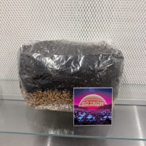 Coco Coir, Vermiculite & Grain All-in-One Grow Kit — 5 lb