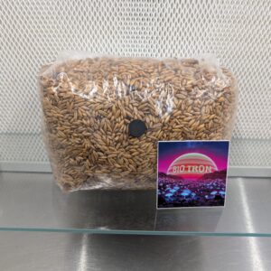 Sterile Grain - 6lbs