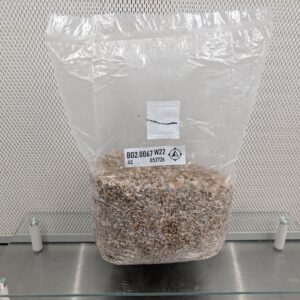6lb Pioppino Grain Spawn - Commercial Strain