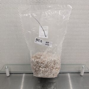 3lb Master Black Pearl Oyster Oyster Grain Spawn - Commercial Strain