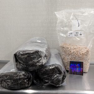 Get Growing Quick Kit – 3 Fruiting Bags + 3 lbs Colonized Grain Spawn (0.2 Micron Filter Patch)