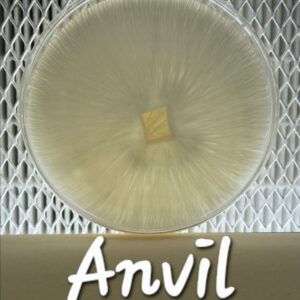 Anvil Research Plate