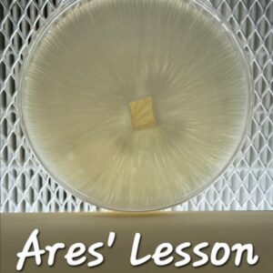 Ares' Lesson Research Plate