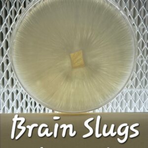 Brain Slugs Revert Research Plate