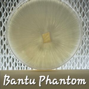 Bantu Phantom Research Plate