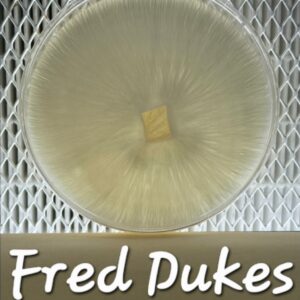 Fred Dukes Research Plate