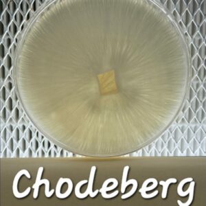 Chodeberg Research Plate
