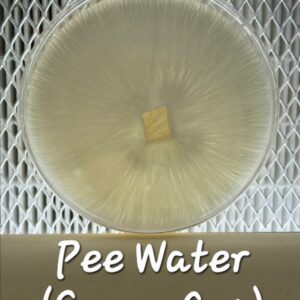 Pee Water Green Cap Research Plate