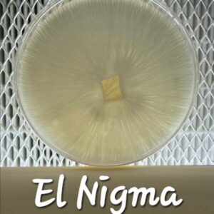 El Nigma Research Plate