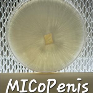 MICoPenis Research Plate