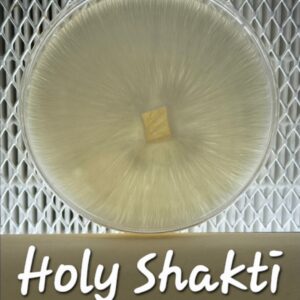 Holy Shakti Research Plate