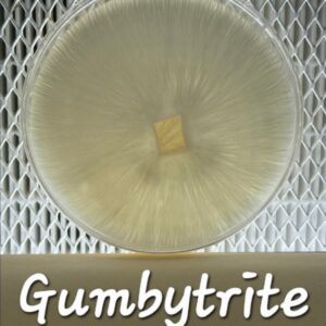 Gumbytrite Research Plate