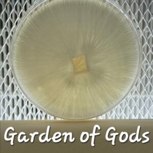Garden of Gods Research Plate