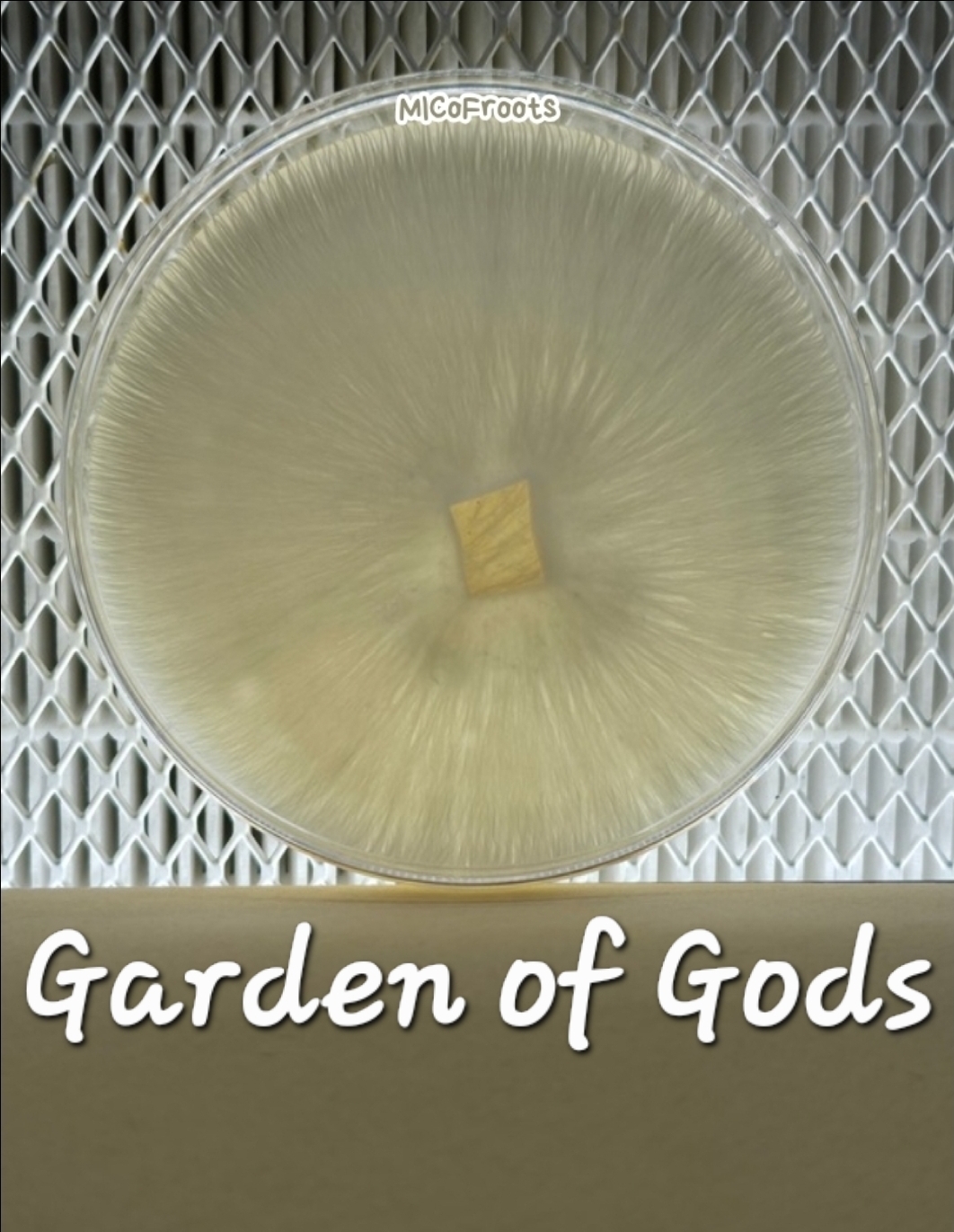 Garden of Gods Research Plate