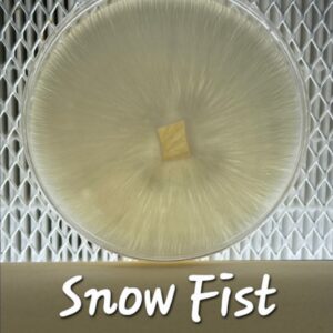 Snow Fist Research Plate