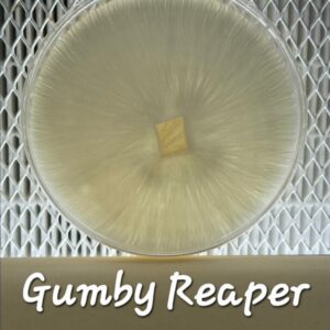 Gumby Reaper Research Plate