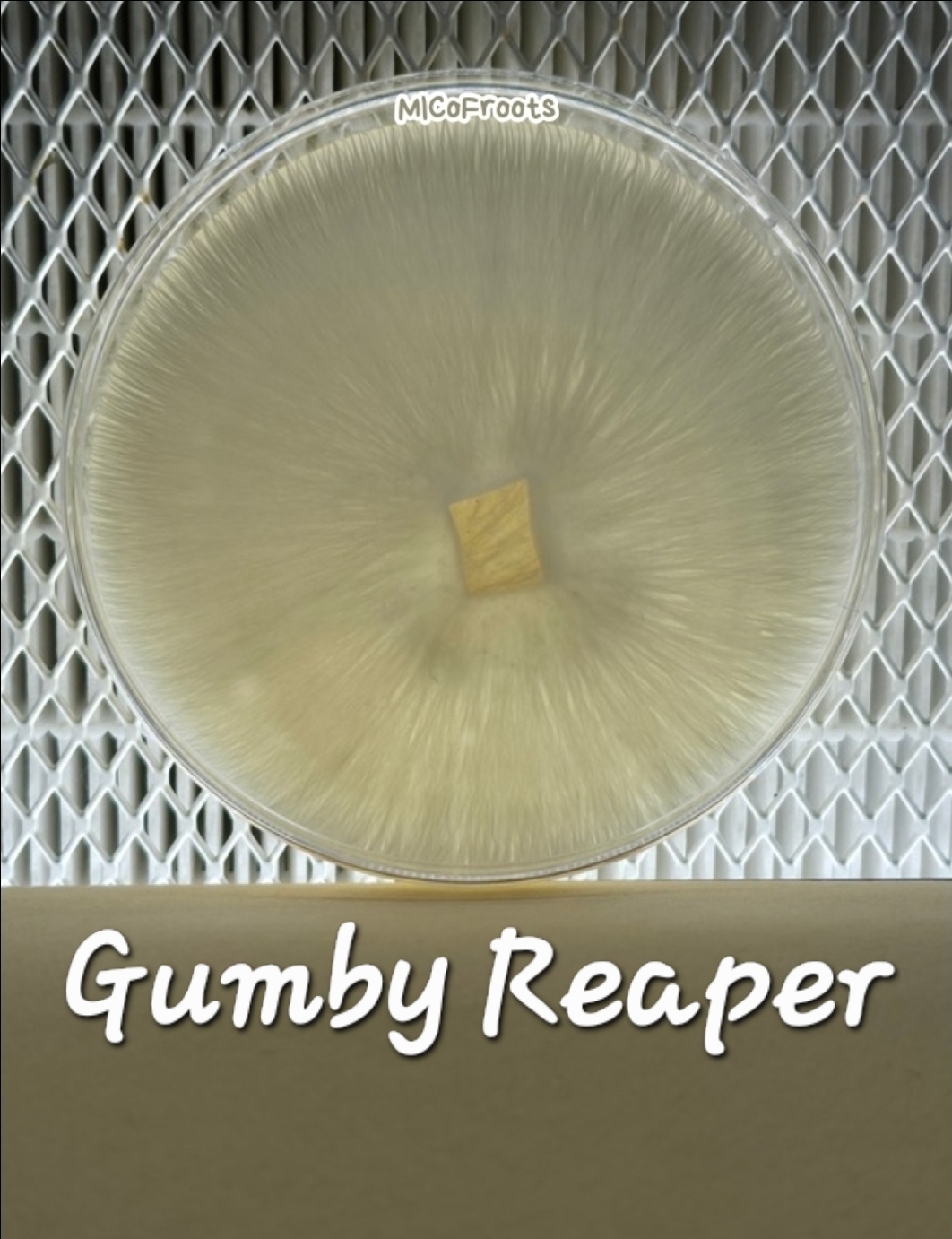 Gumby Reaper Research Plate