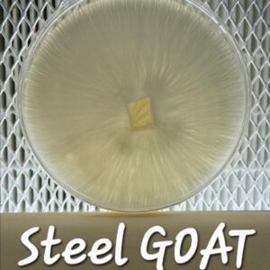 Steel GOAT Research Plate