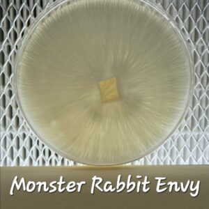 Monster Rabbit Envy Research Plate