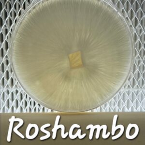 Roshambo Research Plate