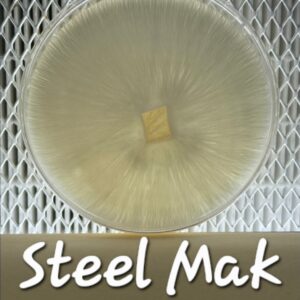 Steel Mak Research Plate
