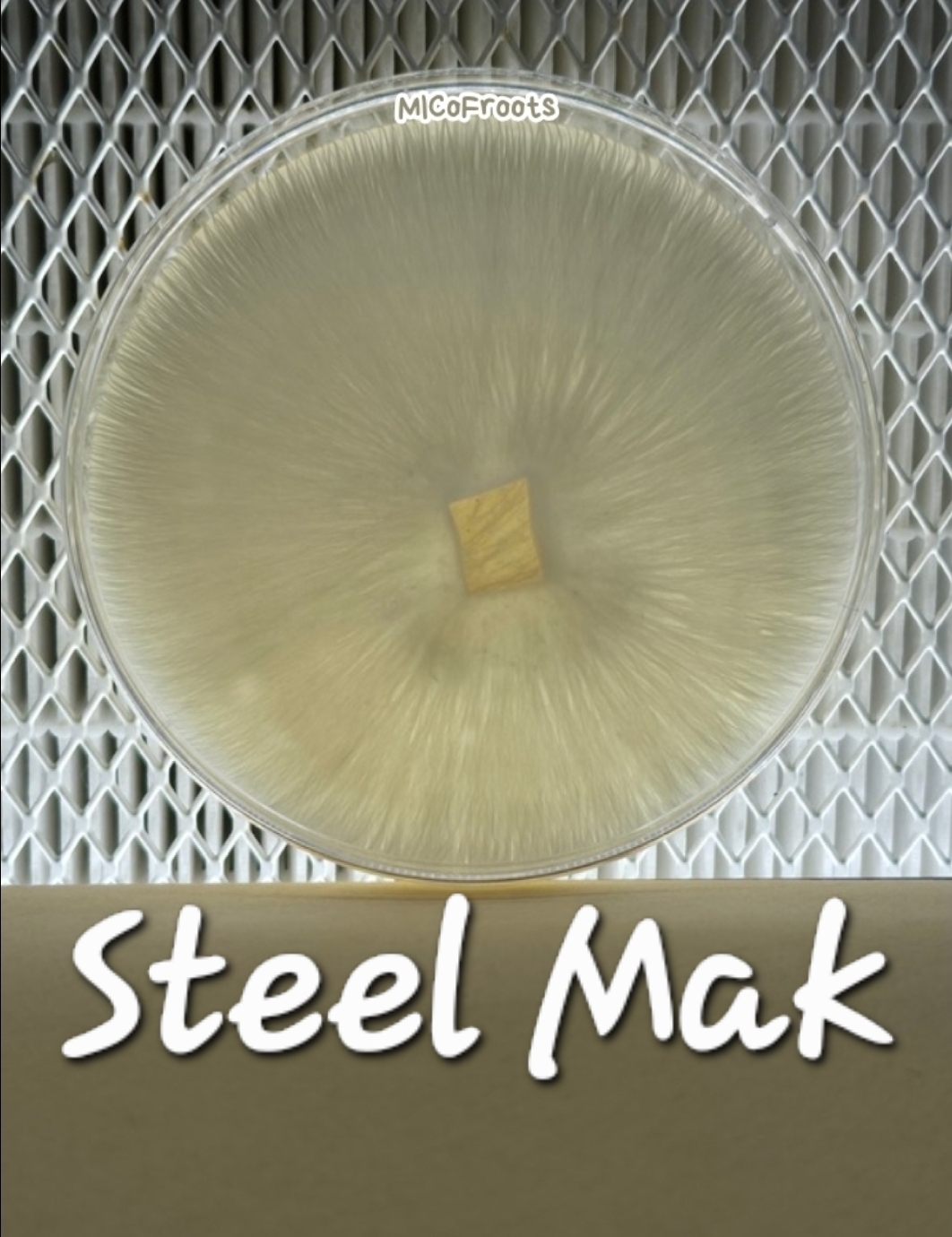Steel Mak Research Plate