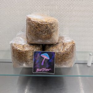 Three Pack Sterile Grain - 3lbs