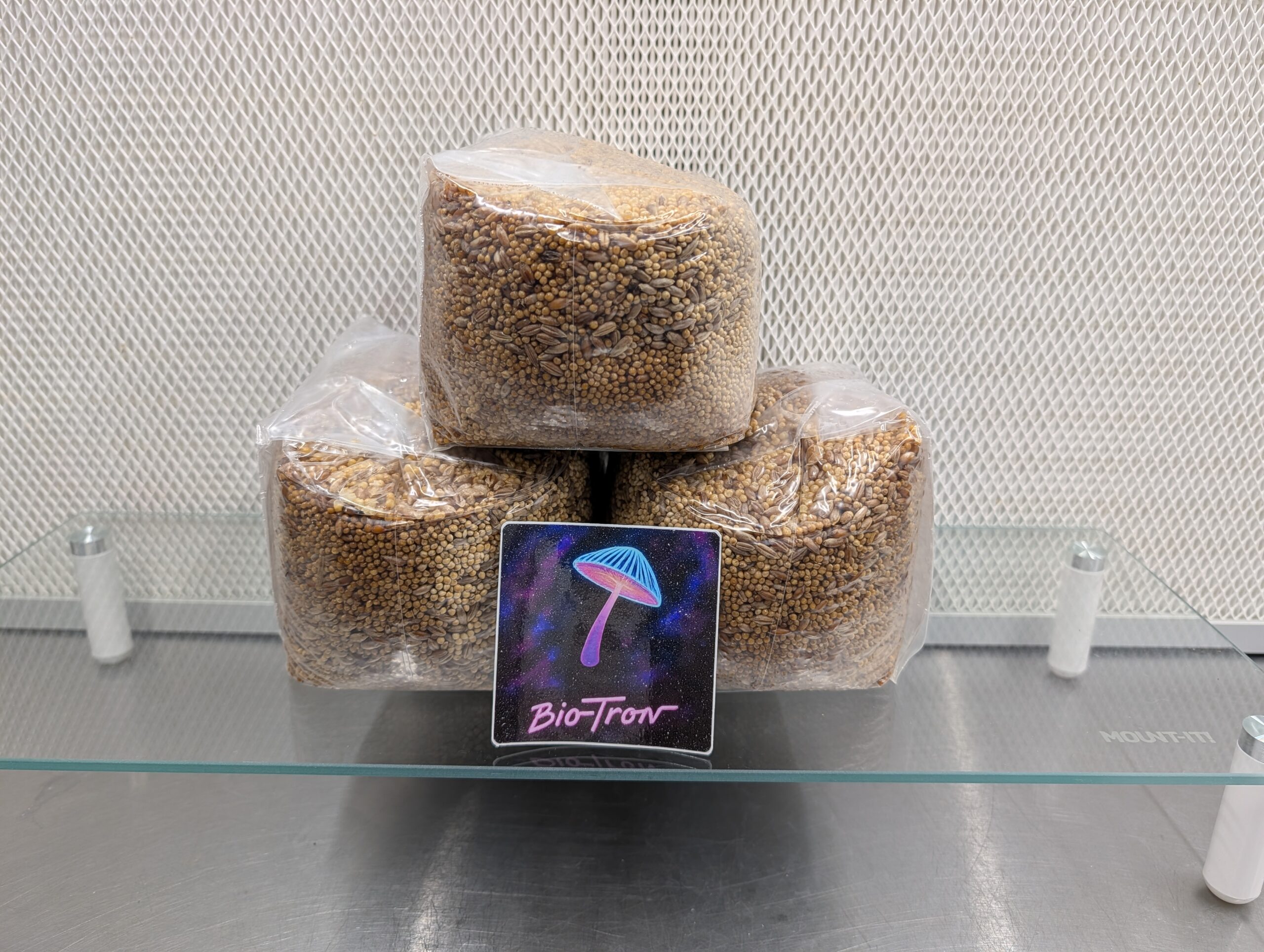 Three Pack Sterile Grain - 3lbs