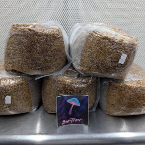 Five Pack Sterile Grain - 6lbs Each