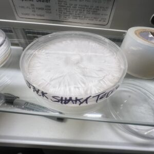Jack Frost X Shakti X Toque (100mm Research Plate))