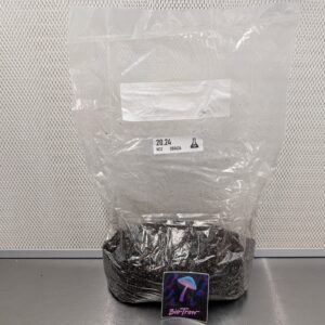 Ready-To-Fruit Mushroom Grow Bag (5 lb) — Fruit In The Bag