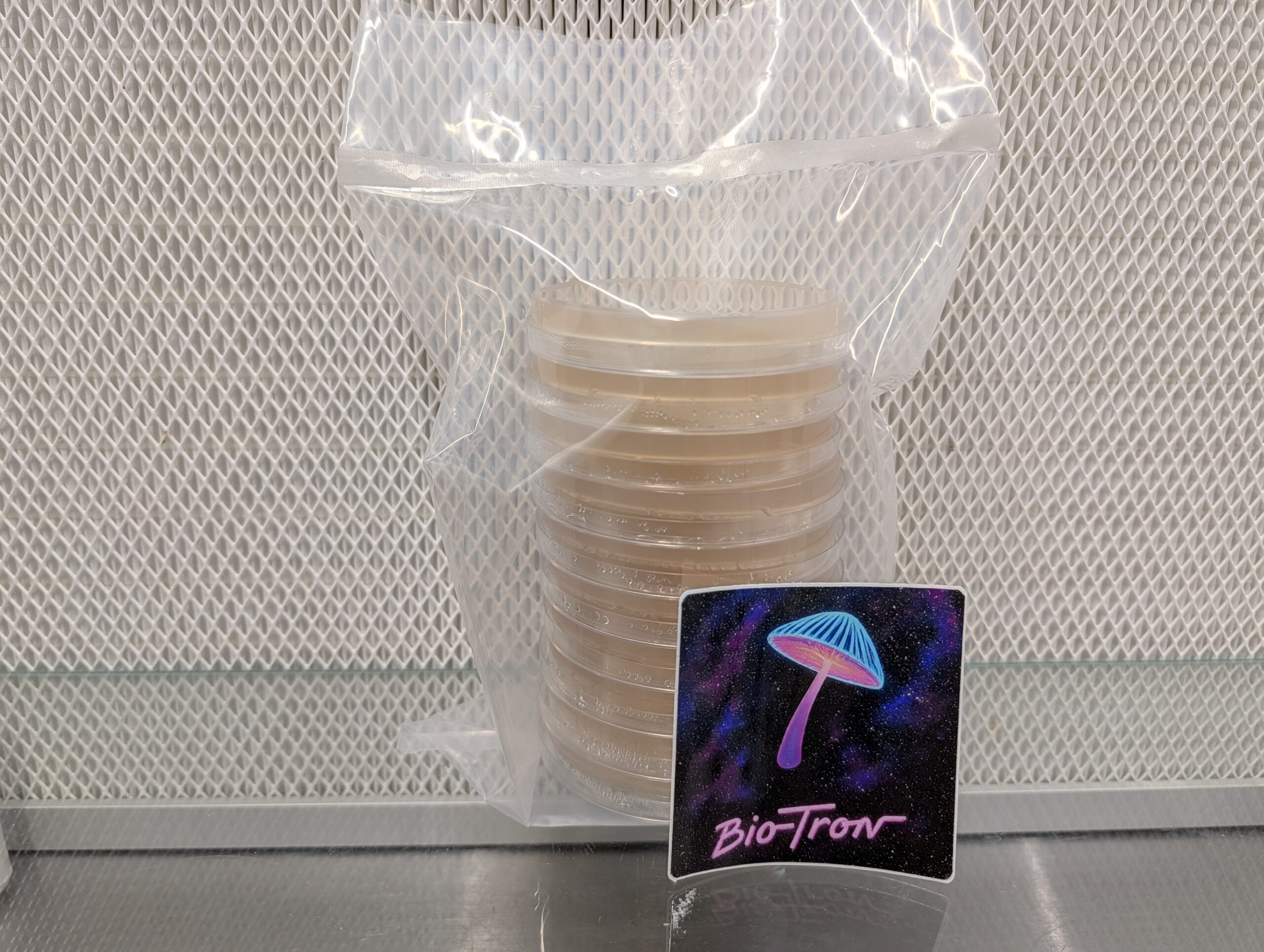 Sterile Agar Plates - 10 Pack