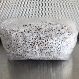 2 lbs Research Grain Starry Night SNAPE (Ready to Ship)